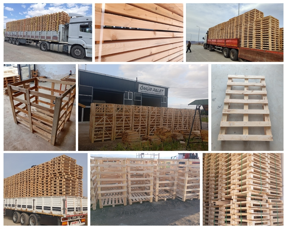 Zaanstad Houten Kisten, Europallets Groothandel Kopen